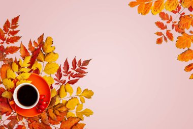 Sonbahar arkaplanı. Sonbahar yapraklarından yapılmış bir çerçeve. Sonbahar bayrağı. Kopya alanı olan bir arkaplan. Yatay olarak. Üst görünüm.