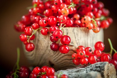 Bir kasede olgun kırmızı frenk üzümü. Koyu kırsal ahşap masada taze kırmızı frenk üzümü. Kopya alanı olan bir arkaplan. Seçici odak.