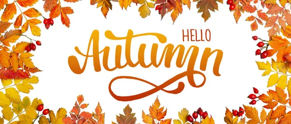 Autumn background. A frame made of autumn leaves. Autumn banner. Horizontal. Top view. Lettering. — Stock Photo, Image