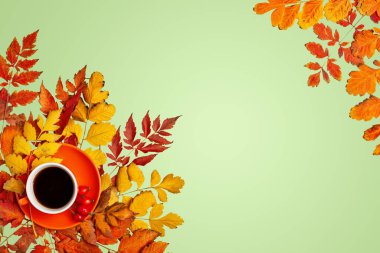 Sonbahar arkaplanı. Sonbahar yapraklarından yapılmış bir çerçeve. Sonbahar bayrağı. Kopya alanı olan bir arkaplan. Yatay olarak. Üst görünüm.