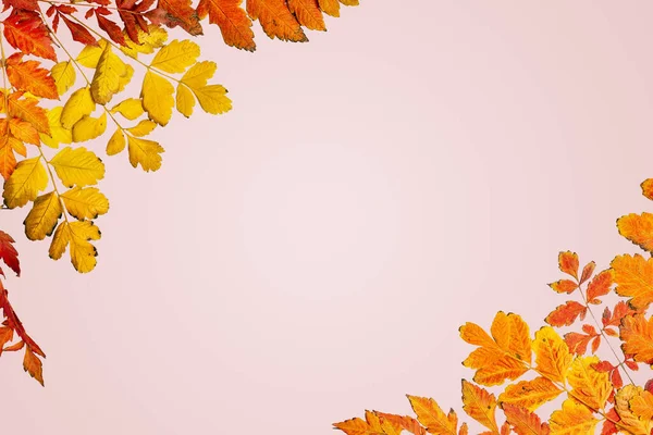 Őszi háttér. Őszi levelekből készült keret. Őszi zászló. Háttér másolási hellyel. Vízszintes. Felülnézet. Stock Kép