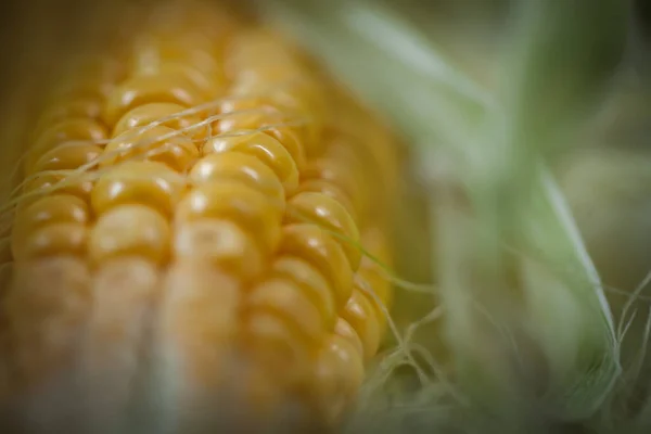 Färsk saftig majs med blad på ett träbord. Höstens bakgrund. Selektiv inriktning. Royaltyfria Stockfoton