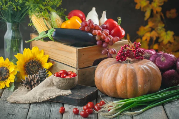 Bordet är dekorerat med grönsaker, pumpor och frukter. Skördefestivalen. Grattis på tacksägelsedagen. Höstens bakgrund. Selektivt fokus. Övergripande. Stockbild