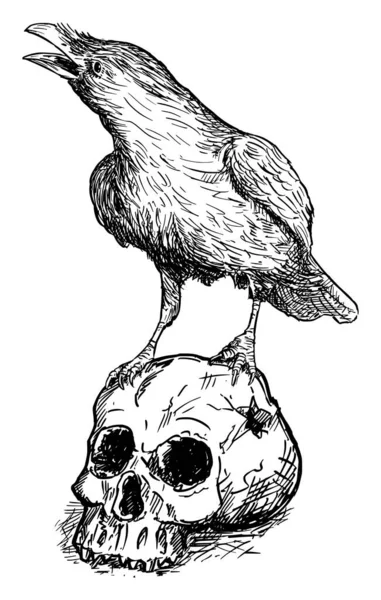 Black Common Raven Bird Standing on Human Skull (em inglês). Desenho vetorial ou ilustração —  Vetores de Stock