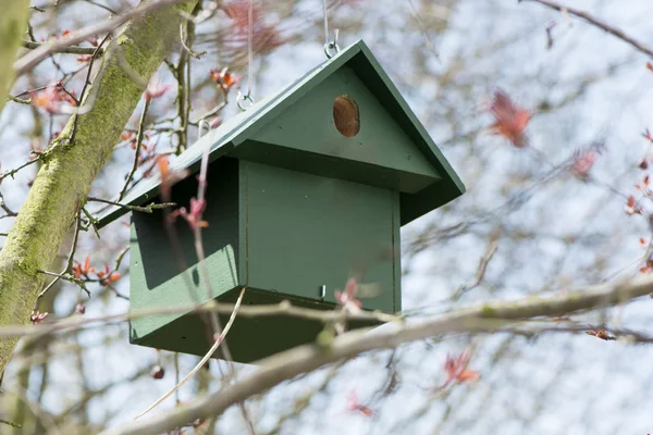 Birdhouse drewniane wiszące na drzewie — Zdjęcie stockowe