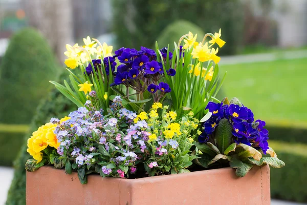 Rectangular flower pot in a park — Stock Photo, Image