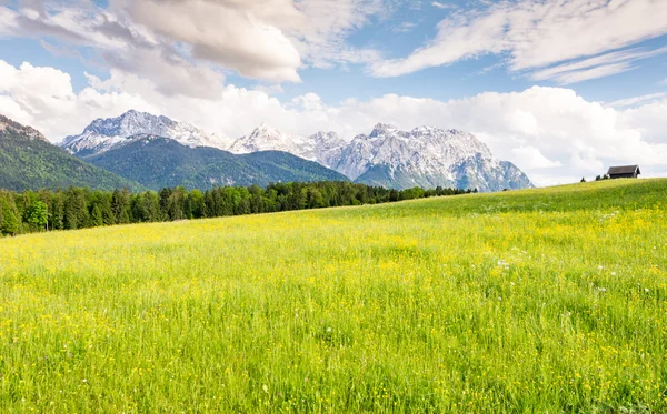 Pasture in the alps of Bavaria — Stock Photo, Image