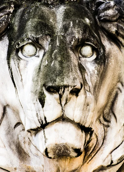 Historic stone lion sculpture — Stock Photo, Image