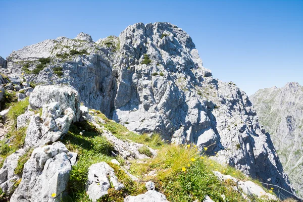 Berglandschap van de Alpen van Beieren — Stockfoto