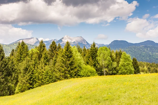 Alm in den bayerischen Alpen — Stockfoto