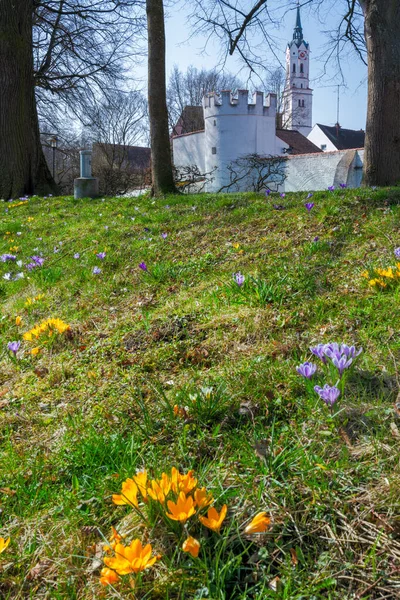 Parc Schrobenhausen Bavière Avec Des Fleurs Printemps — Photo