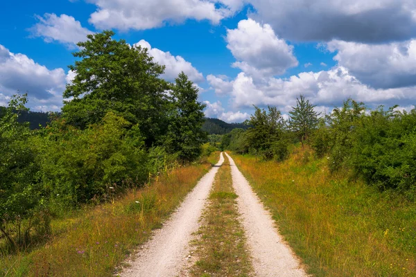 Country Road Idyllic Landscape Altmuehltal Bavaria Germany — Stock Photo, Image