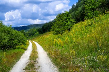 Altmuehltal (Altmuehltal, Bavyera, Almanya))