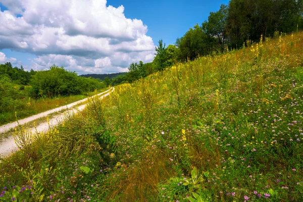 Route Campagne Dans Paysage Idyllique Bavière Allemagne — Photo