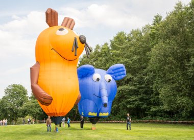 Sıcak hava balonu festivali