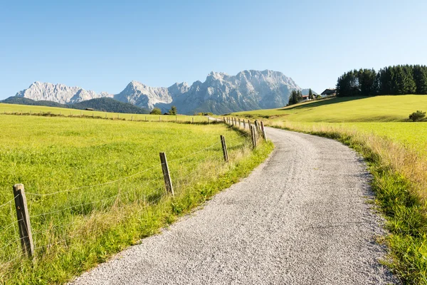 Alpine Path — Stock Photo, Image