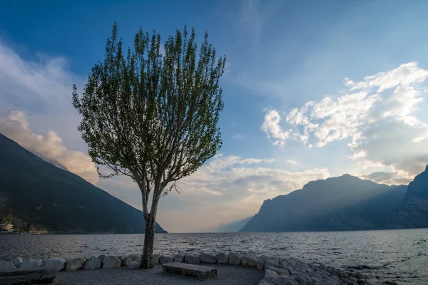 Serata al Lago Gara — Foto Stock