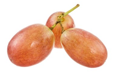 Üç kırmızı izole üzüm