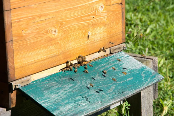 Beekeeping — Stock Photo, Image