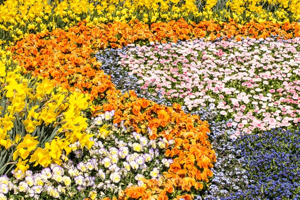 Tapete de flores — Fotografia de Stock