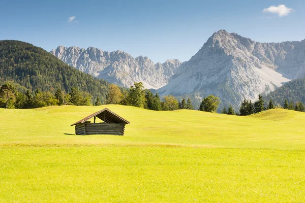 Alpin barn — Stockfoto