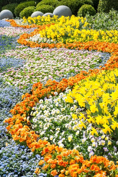 muhteşem bahar çiçekleri