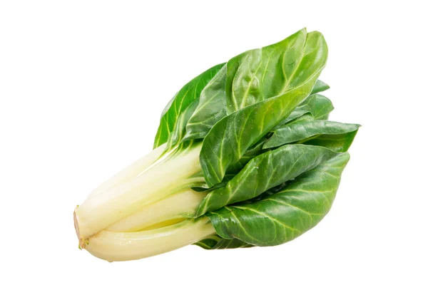 Isolated Chard — Stock Photo, Image