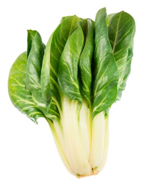 izole pazı