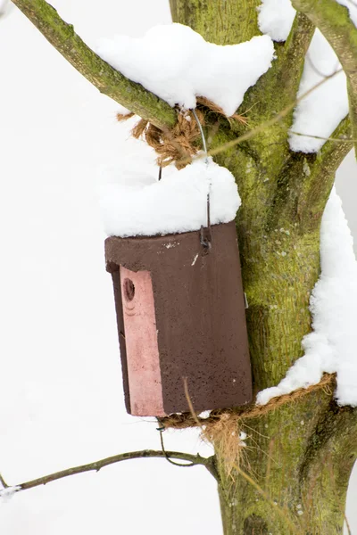 Bird Nesting Box — Stock Photo, Image