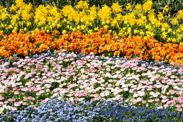 Tapete de flores — Fotografia de Stock