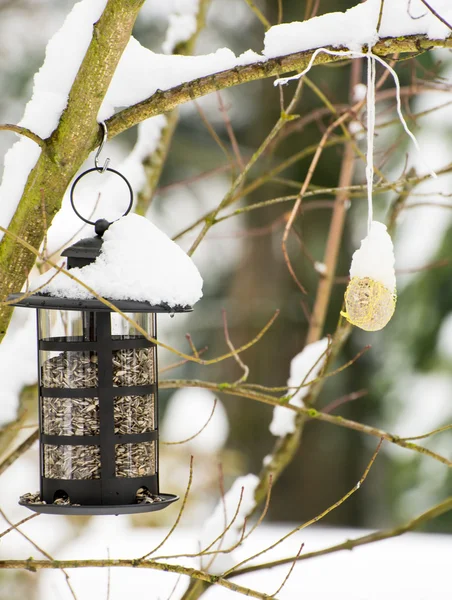 Fågelmatare och fett Ball i snön — Stockfoto