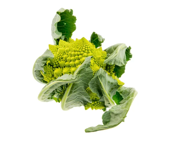 Geïsoleerde Romanesco Broccoli — Stockfoto