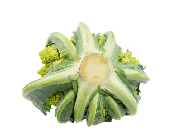 Geïsoleerde Romanesco Broccoli — Stockfoto