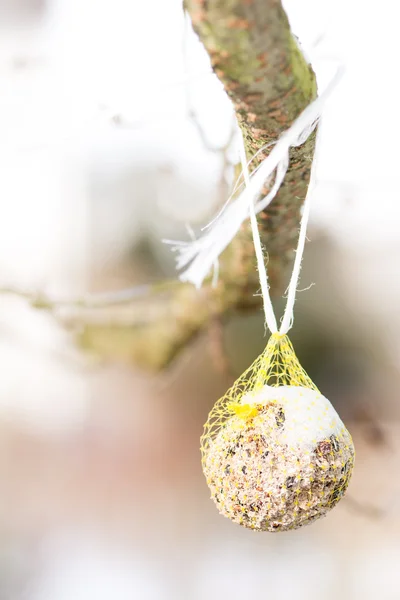 Fettball als Vogelfutter — Stockfoto