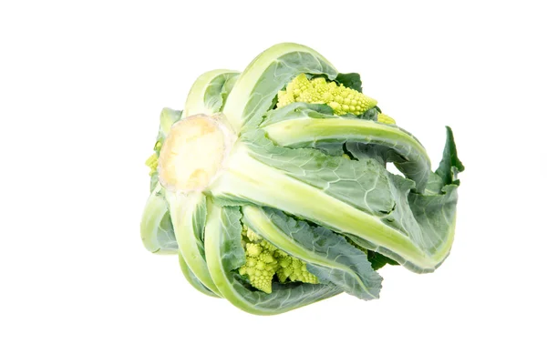 Brócoli Romanesco aislado — Foto de Stock