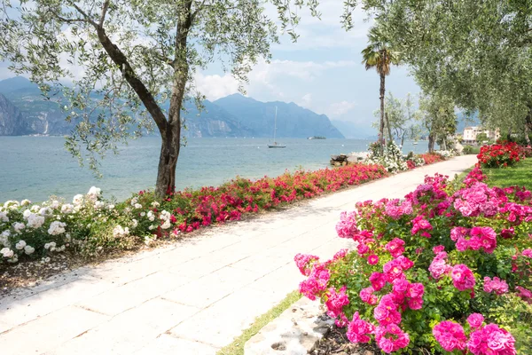 Flowers at Lake Garda — Stock Photo, Image