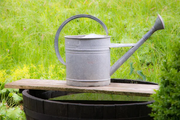 Vintage sulama olabilir