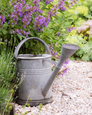 Vintage sulama olabilir