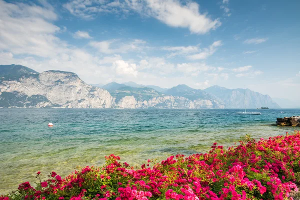 Flowers at Lake Garda — Stock Photo, Image