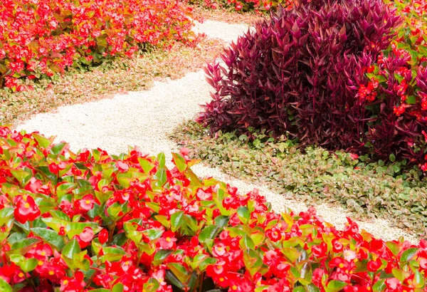 Curved sidewalk through a flower bed — Stock Photo, Image