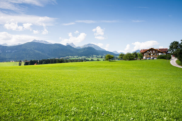 Pasture in the Allgaeu (Bavaria, Germany)