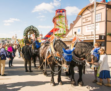 Haflinger bira fıçısı Ekim Festivali'nde çekerek atlar