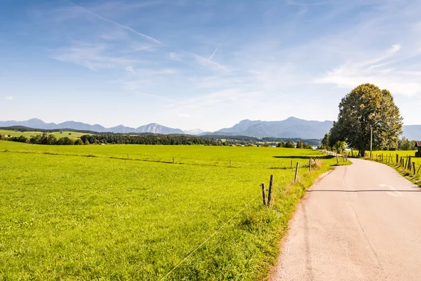 Country road in Bavaria — Stock Photo, Image