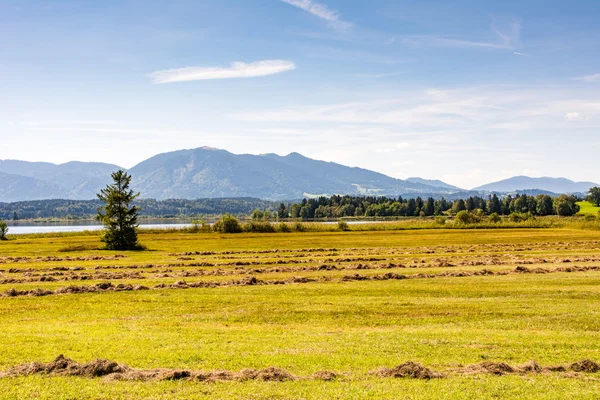 Pasture with hay in Bavaria — Stock Photo, Image
