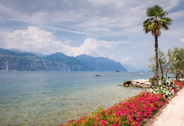 Flowers at Lake Garda — Stock Photo, Image