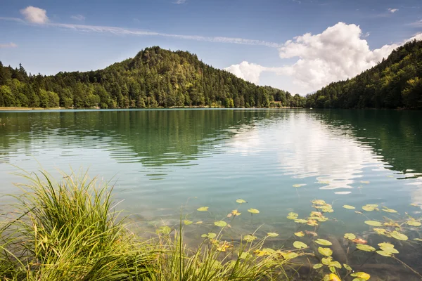 Sjön Alatsee i Bayern — Stockfoto