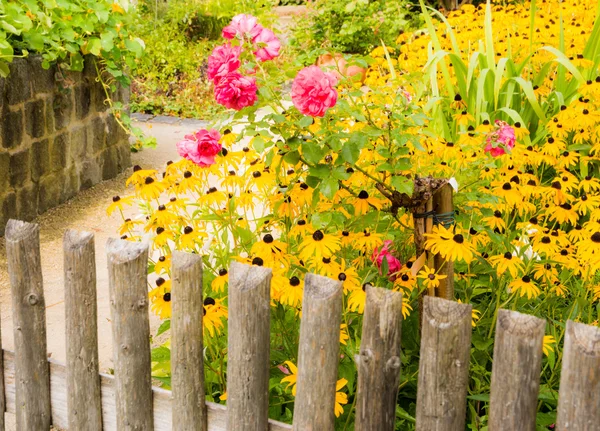 Jardim de flores com cerca — Fotografia de Stock