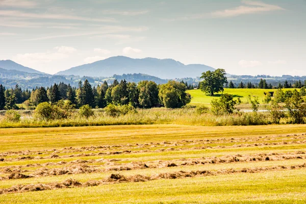 Pasture with hay in Bavaria — Stock Photo, Image