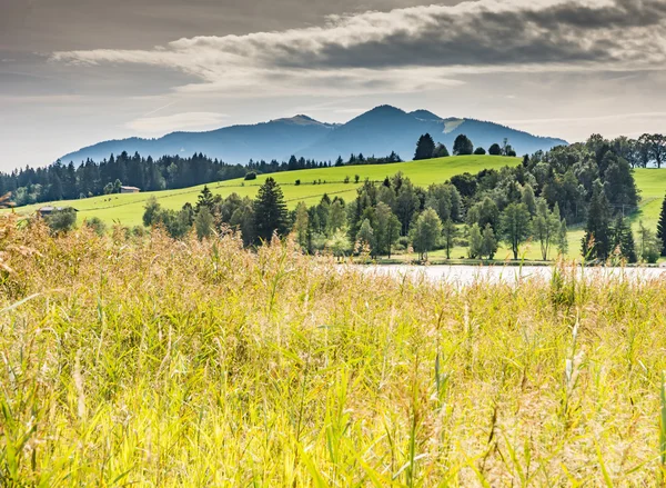 Sjön Soier See i Bayern — Stockfoto