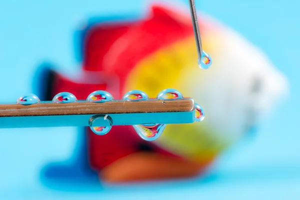 Réflexions de poisson dans une goutte d'une seringue — Photo